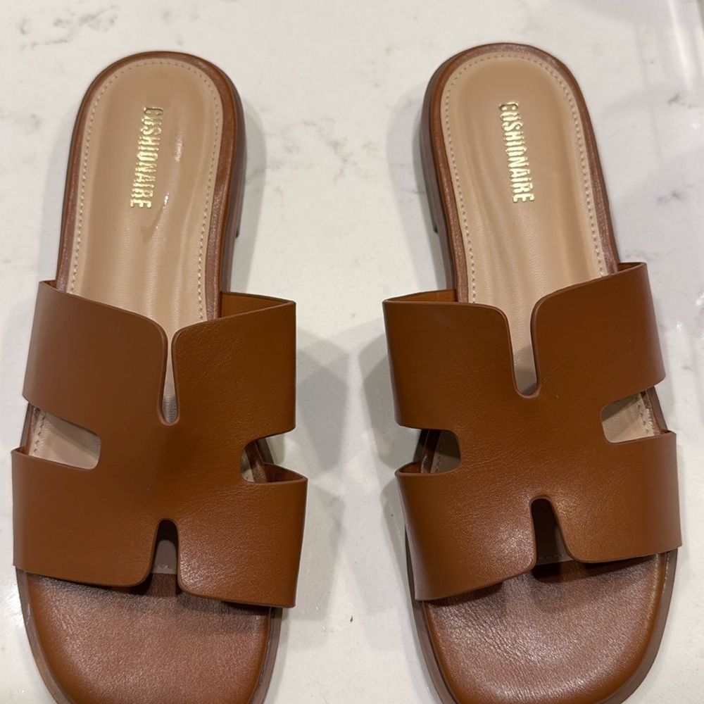 Brown Cushionaire Sandals